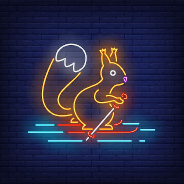 Squirrel skiing on snow in neon style