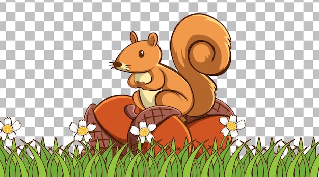 Squirrel standing on the grass field on transparent background