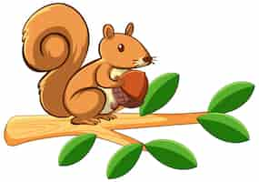 Free vector squirrel on white