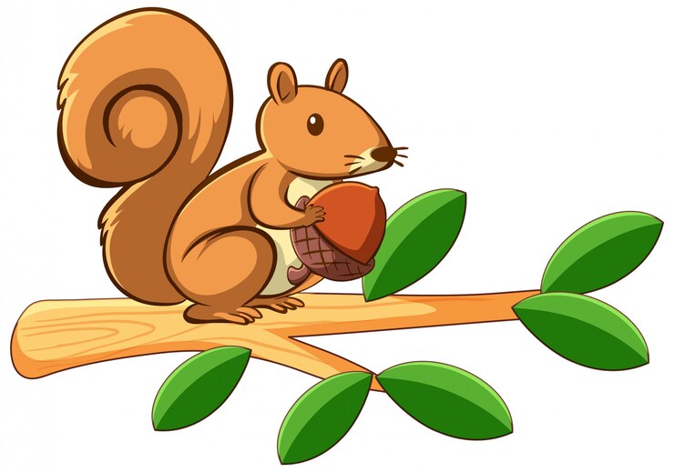 Free Vector squirrel on white