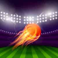 Vettore gratuito stadium of cricket night