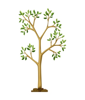 ステージ成長植物イラスト プレミアムベクター ステージ成長植物イラスト プレミアムベクター