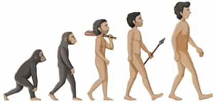 Free vector stages of human evolution cartoon character