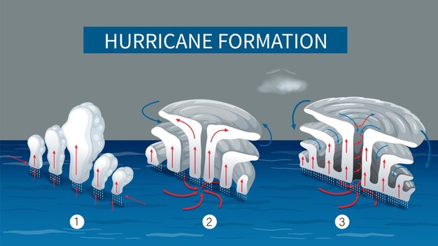 ハリケーン の 発展 の 段階 を 説明 する