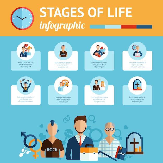 Vettore gratuito stampa del report infografica sulle fasi della vita