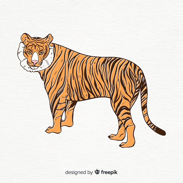 Vettore gratuito sfondo di tigre in piedi