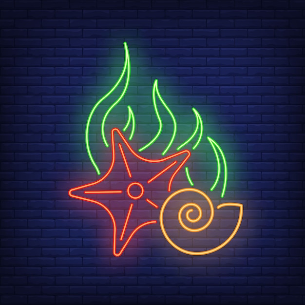 Starfish, algae and shell neon sign on brick wall .