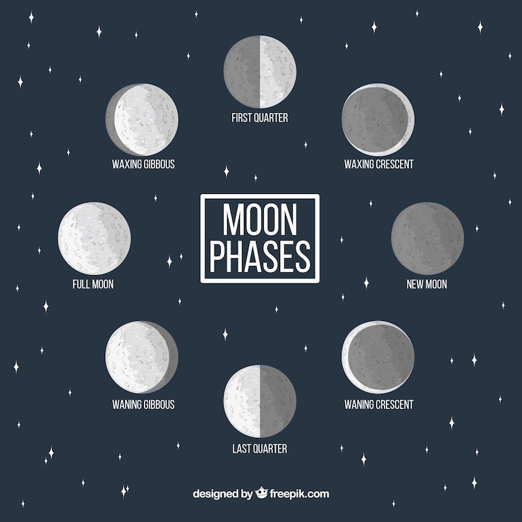 Free Vector starry background with decorative moon phases