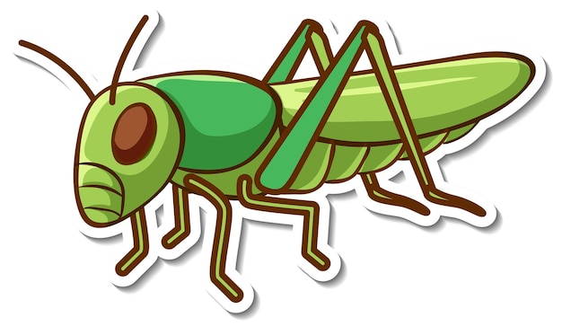 무료 벡터 고립 된 녹색 메뚜기와 스티커 디자인