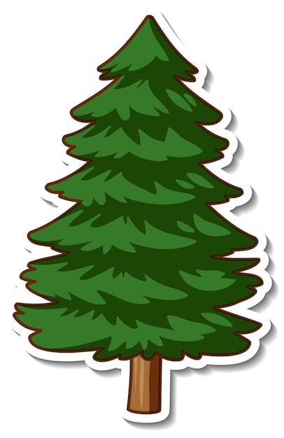 Free vector sticker design with a spruce or pine tree isolated