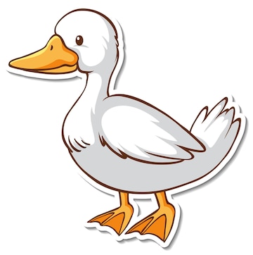Duck drawing Vectors & Illustrations for Free Download | Freepik Duck drawing Vectors & Illustrations for Free Download | Freepik