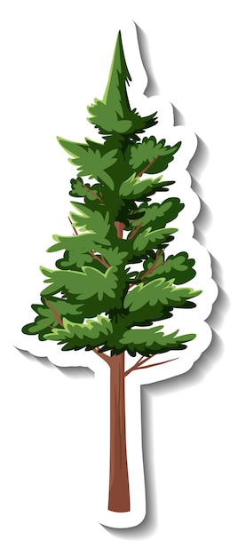 Sticker evergreen tree on white background