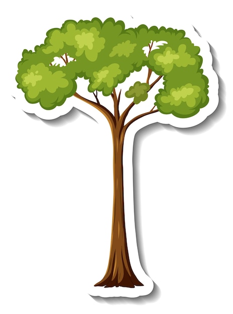 Sticker rainforest tree on white background