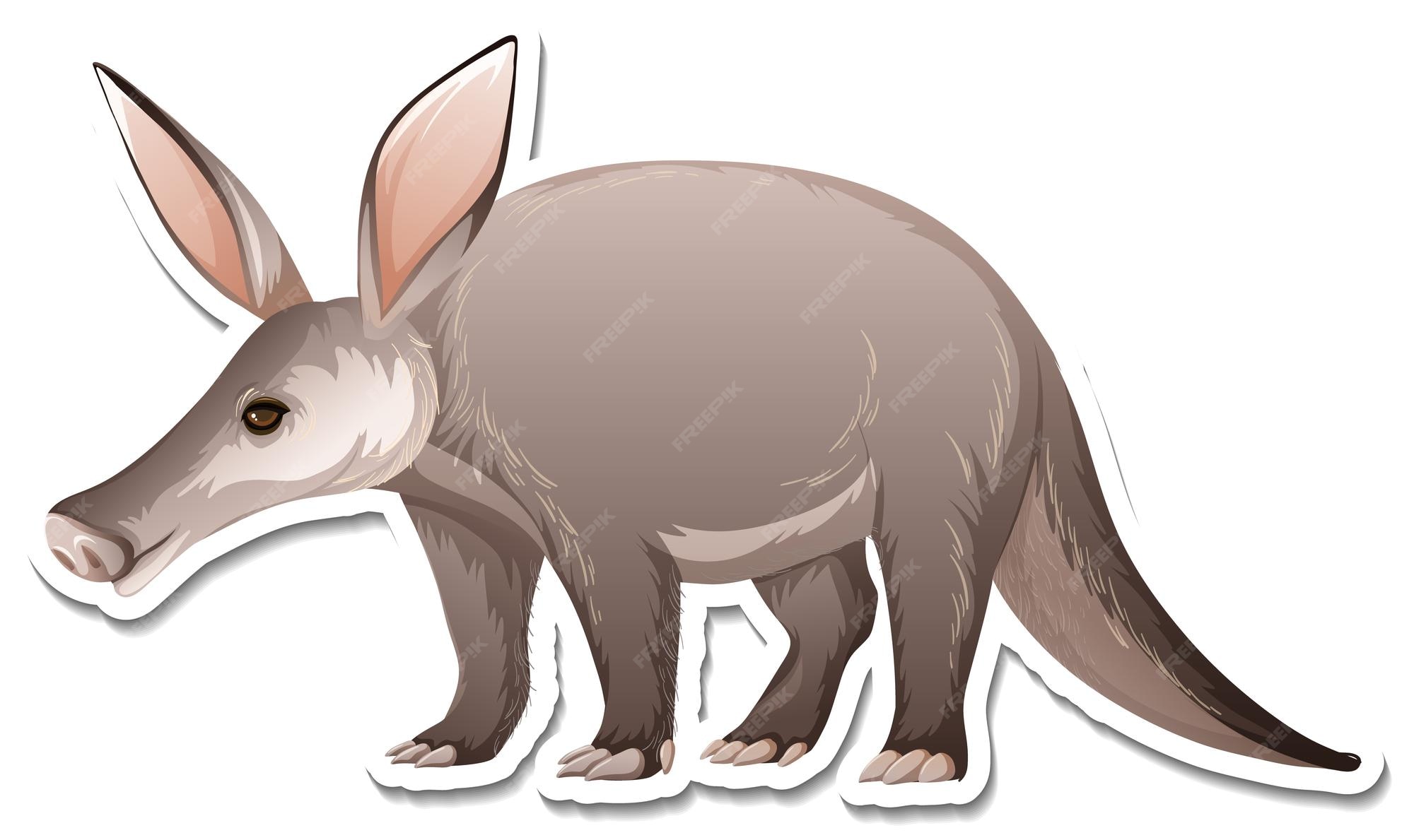 Aardvark - DilekDecklin