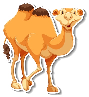 Cartoon Camel Images - Free Download on Freepik