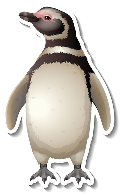 A sticker template of penguin cartoon character