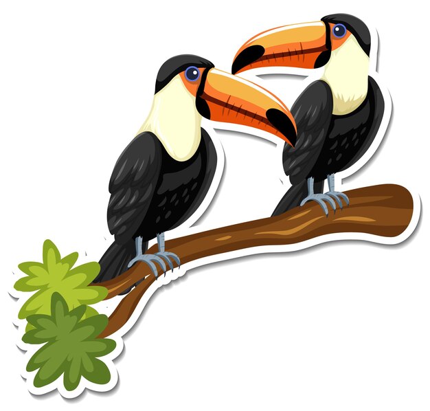 A sticker template of toucan cartoon character