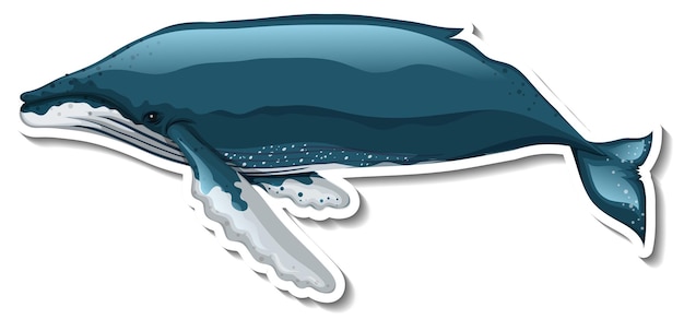 Шаблон стикера мультяшного кита