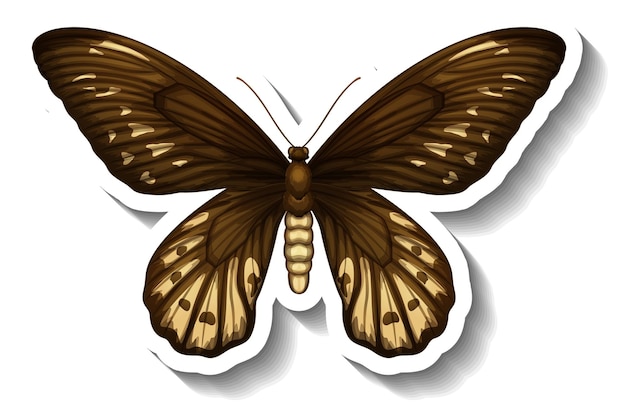 A sticker template with butterfly or moth isolated