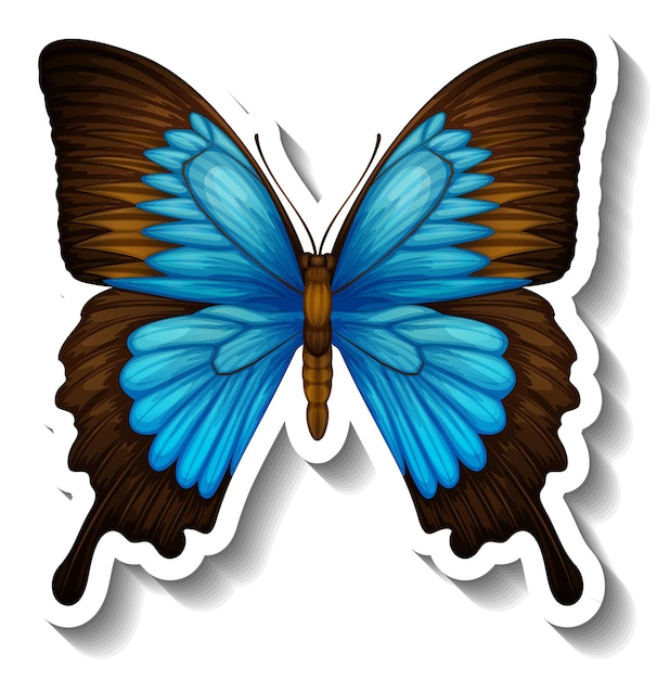 A sticker template with butterfly or moth isolated