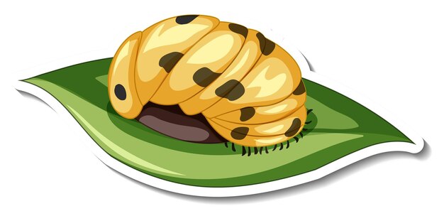 A sticker template with Caterpillar on a leaf isolated