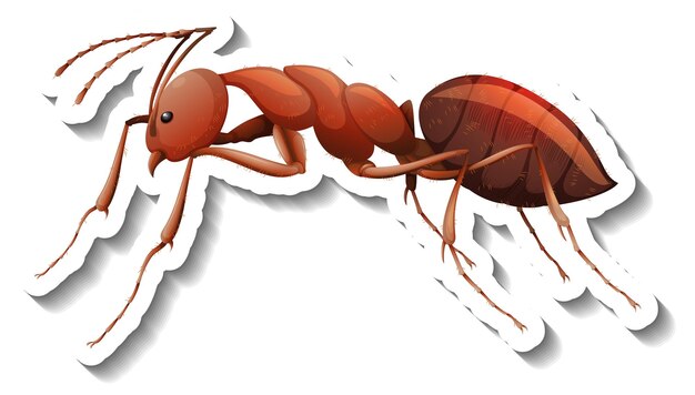 Шаблон наклейки с крупным планом красного муравья изолированы