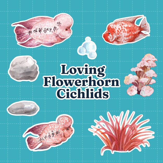 Sticker template with flowerhorn cichlid fish concept,watercolor style