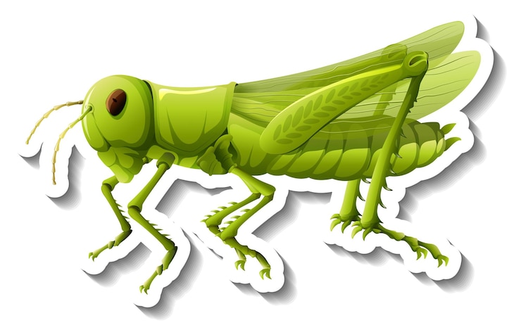 Free Vector a sticker template with a grasshopper isolated
