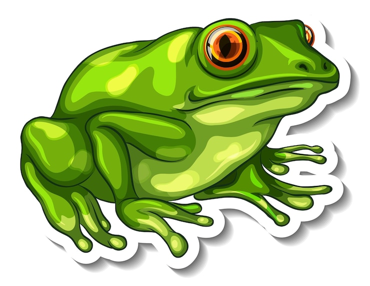 무료 Vector 고립 된 녹색 개구리와 스티커 템플릿