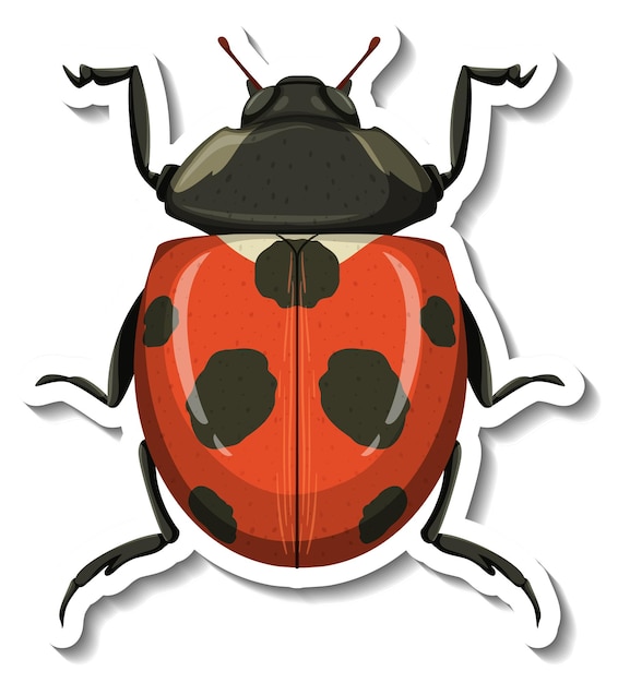 Free vector a sticker template with a ladybug isolated