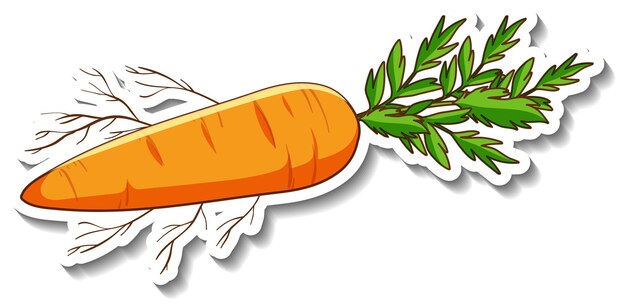 A sticker template with root vegetable carrot isolated