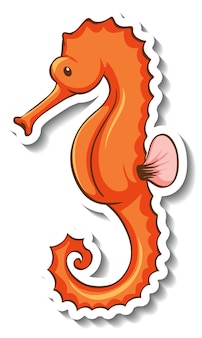 Sticker template with a seahorse cartoon character isolated