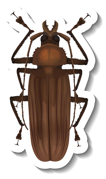Vettore gratuito un modello di adesivo con vista dall'alto di uno scarabeo maggiolino isolato