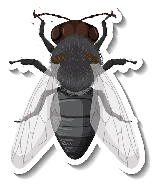 Free vector a sticker template with top view of fly isolated