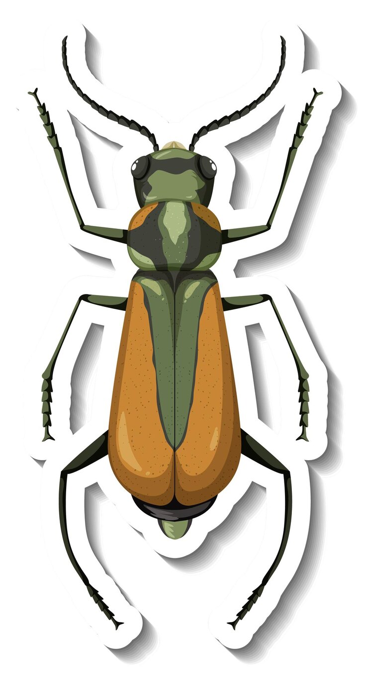 Free Vector a sticker template with top view of a grasshopper isolated
