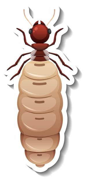A sticker template with top view of primary queen termite isolated
