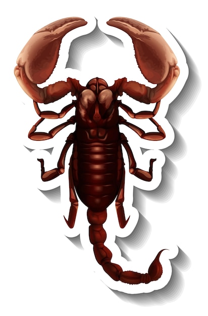 A sticker template with top view of a scorpion isolated