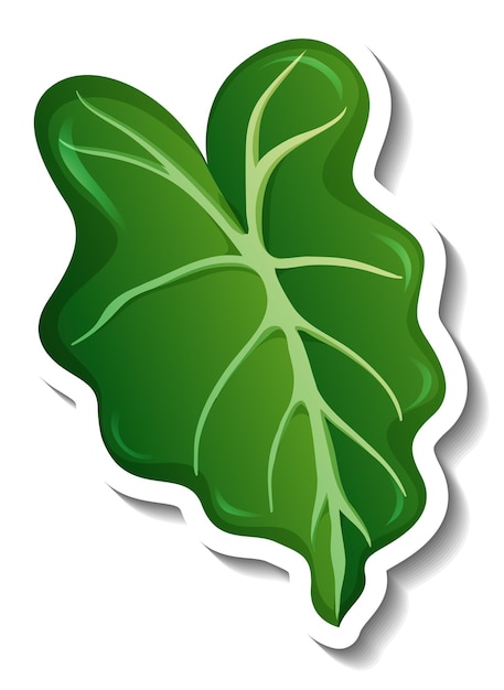A sticker template with a tropical leaf isolated