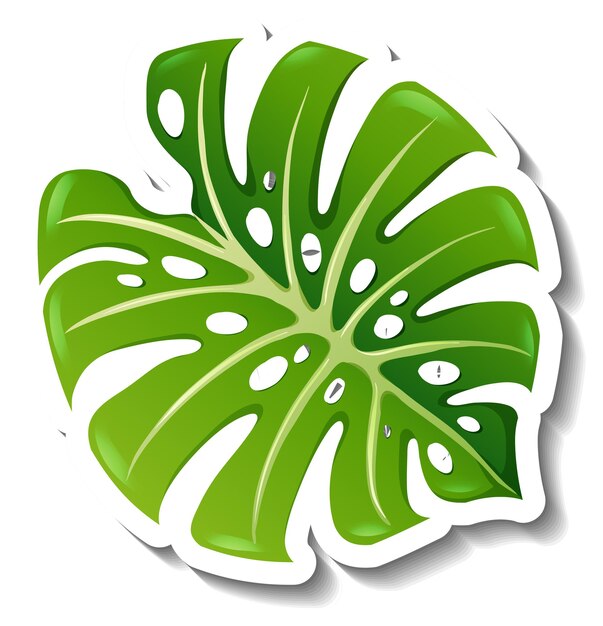 A sticker template with a tropical leaf isolated