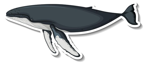 Sticker template with a whale cartoon character isolated