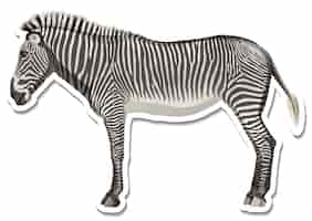 Vettore gratuito un modello di adesivo del personaggio dei cartoni animati zebra