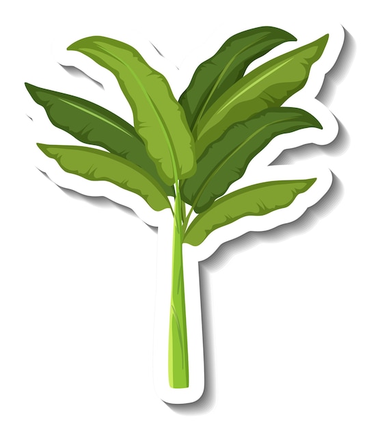 Free vector sticker tropical banana tree on white background