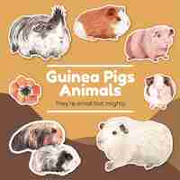 Free vector stickers with cute guinea pig  in watercolor style