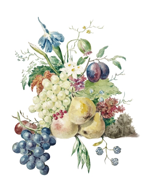 Free vector still life of flowers and fruits