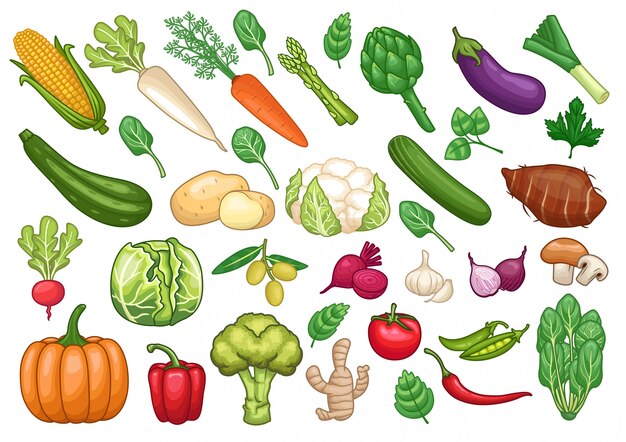 Featured image of post Recipe of Images Easy Vegetables Drawing With Name