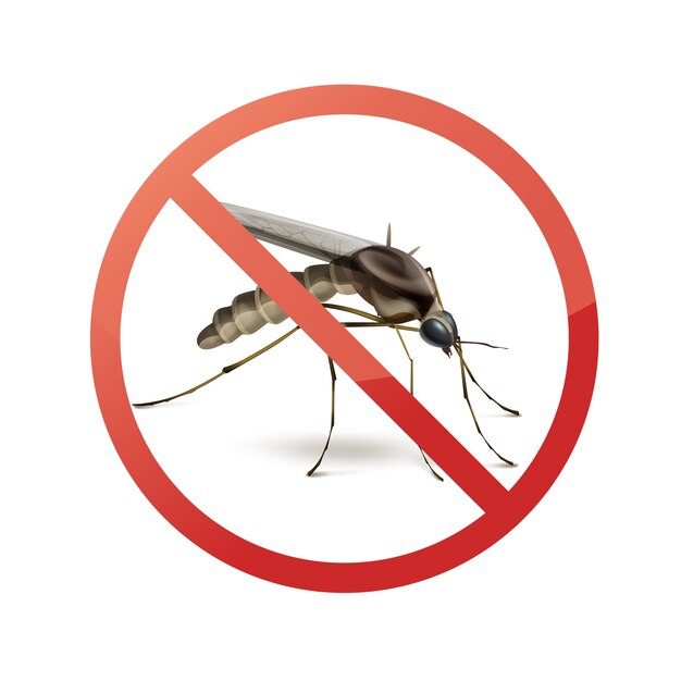 Stop prohibit sign on mosquito close up side view isolated on white background