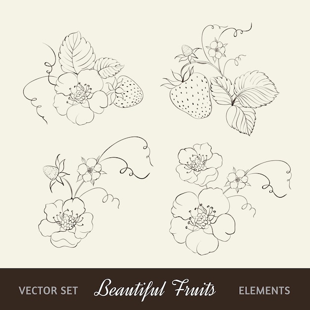 Free vector strawberry elements isolated on white background.