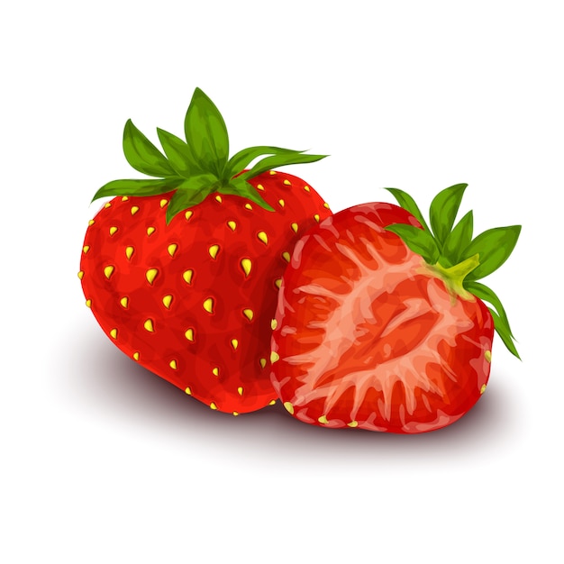 무료 벡터 딸기 고립 된 포스터