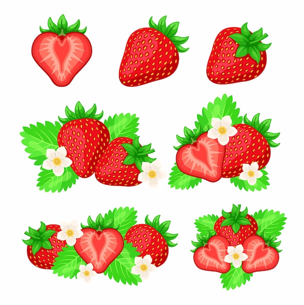 Клубника с зелеными листьями мультяшный набор иллюстраций. Свежие спелые красные целые и нарезанные ягоды с цветами на белом фоне. Здоровое питание, лето, витаминная концепция