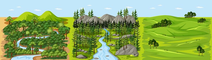 Free Vector stream in forest nature landscape scene